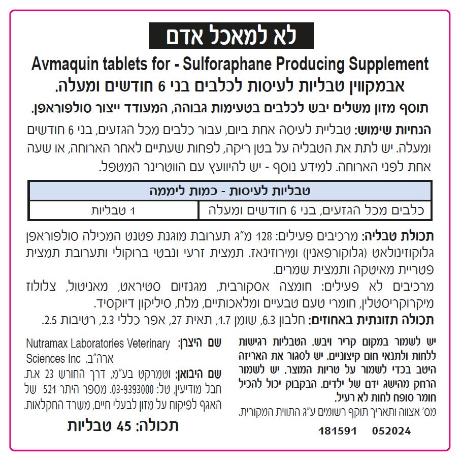 צתוסף אחורי