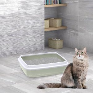 שירותים חתול