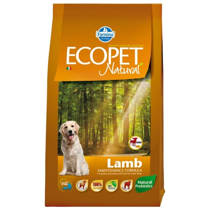 שק מזון יבש מלא לכלבים בוגרים מבוסס כבש ואורז