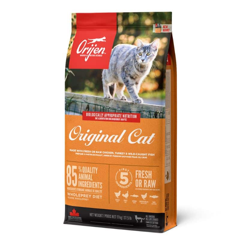 חתול וחתלתלים