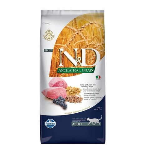 מזון יבש לחתולים עם חלבון כבש ואוכמניות לתמיכה בעיכול ובריאות כללית