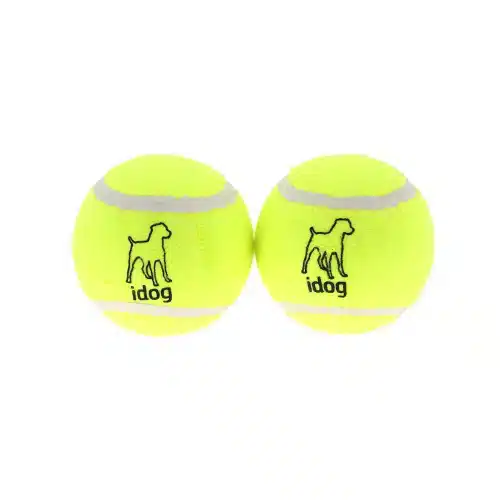 זוג כדורי טניס ענקיים Idog זוג כדורי טניס ענקיים Idog